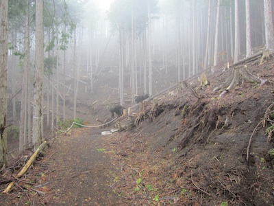 e0156534_7565128.jpg