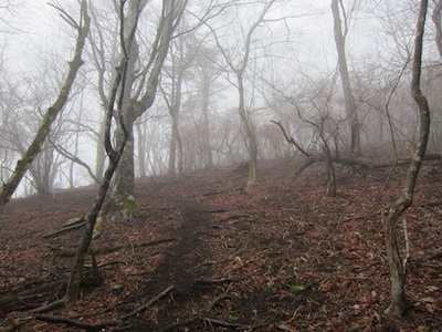 e0156534_835235.jpg