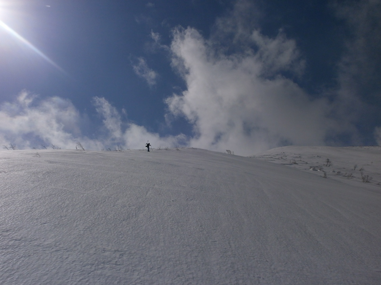d0231339_18291947.jpg