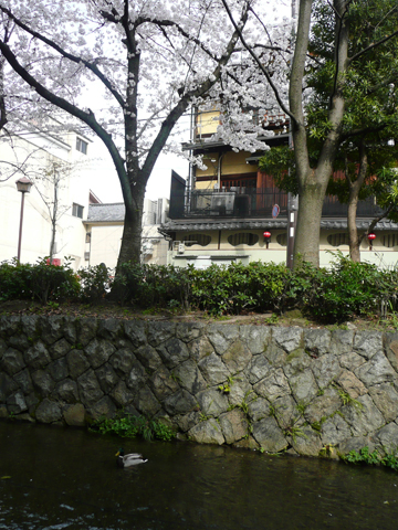 b0088340_11255793.jpg