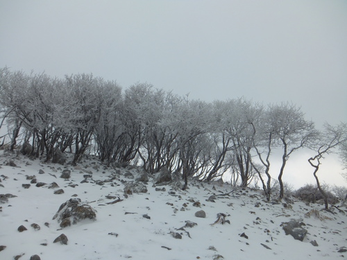 d0285546_1635546.jpg