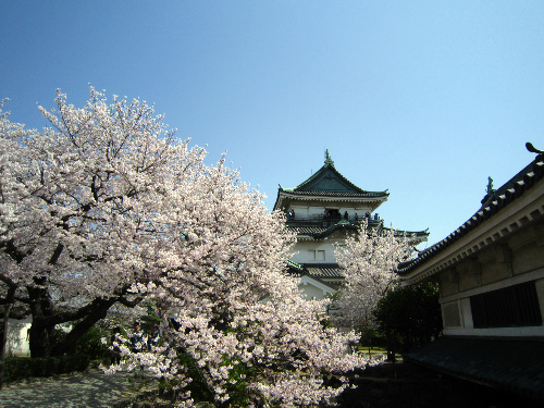 和歌山城　＠和歌山県_f0048546_7535339.jpg