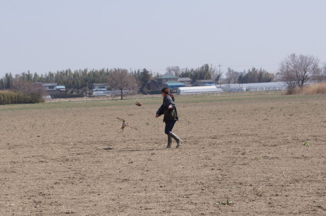 sky trials in Japan 2013を終えて_c0132048_21454587.jpg