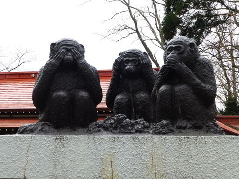 日吉神社にサル現れる！_b0238249_17454375.jpg