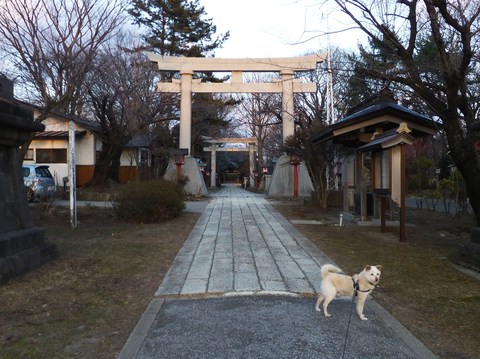 日吉神社にサル現れる！_b0238249_17554320.jpg