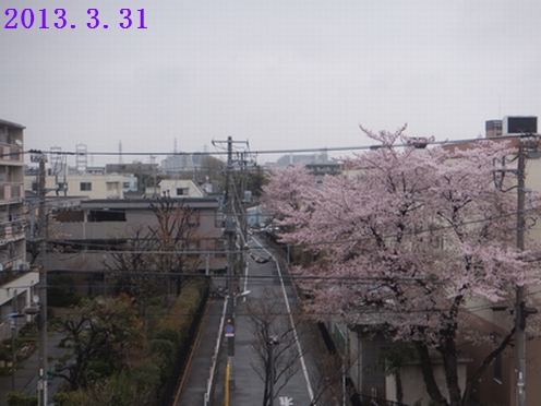 f0002750_10334691.jpg