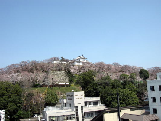 c0147952_20315638.jpg