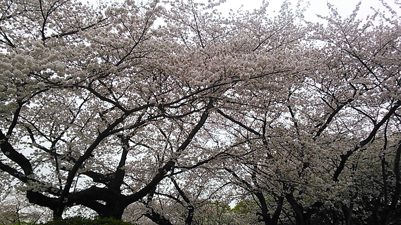 f0188652_5404652.jpg