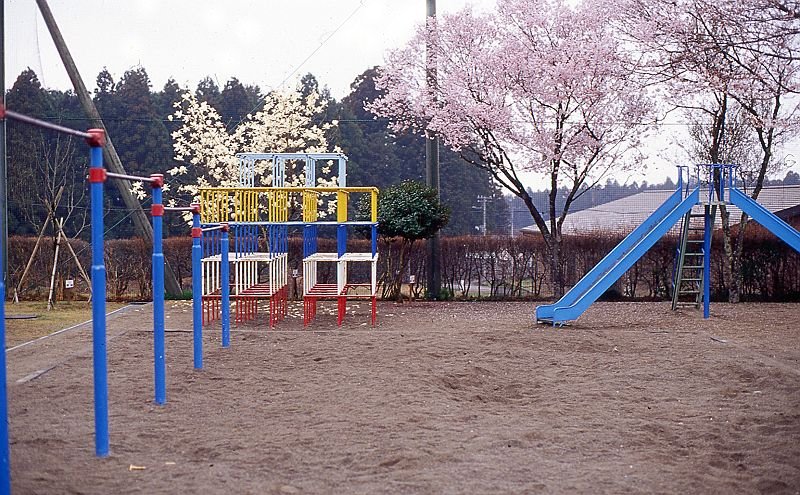 f0169053_14251377.jpg