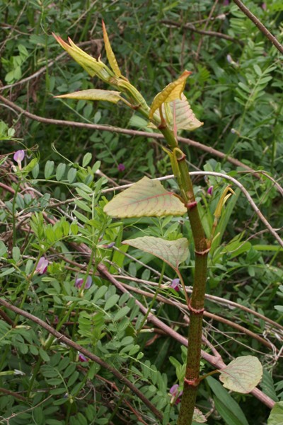 c0269855_82586.jpg