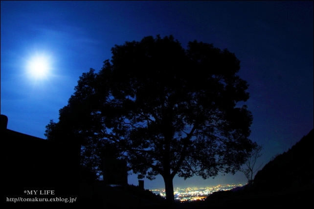 夜景を見ながら_e0305156_11097.jpg