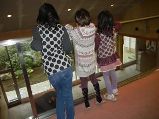 a0118264_12195186.jpg