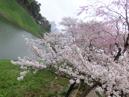 b0190666_1152742.jpg