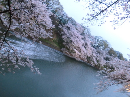 b0190666_12194952.jpg