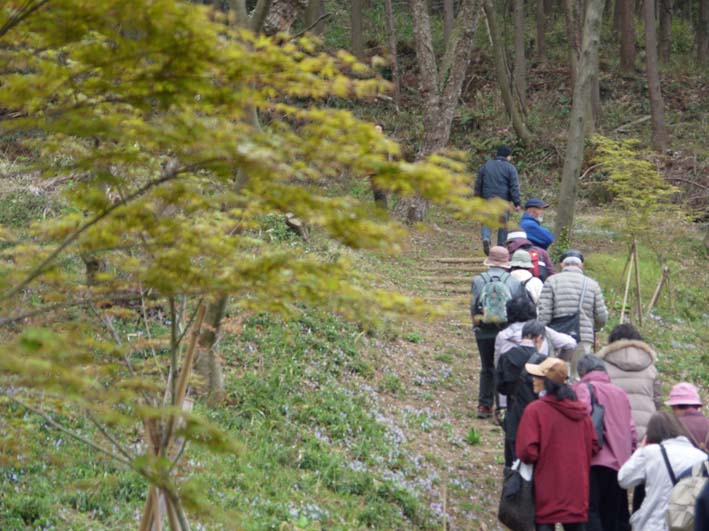 花冷えでも六国見山の夫婦桜ウォッチングに25人：3・30_c0014967_1961618.jpg