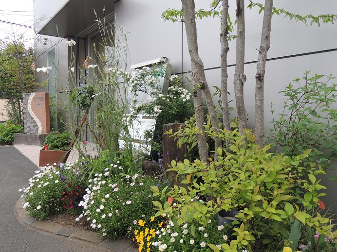 goroさん天国からお花見てくださいね・・・・・・お店の花、今とっても、きれいですよ_b0137969_19364258.jpg