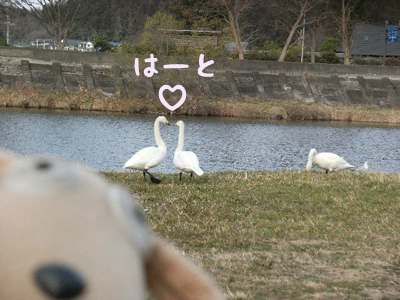 c0158573_858599.jpg
