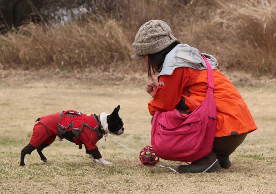 Snow Peak Way 2013 in 朝霧高原　１日目_b0184877_18345695.jpg