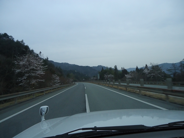 a0199979_1642926.jpg