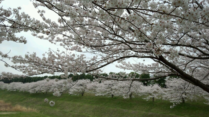 f0230380_04454.jpg