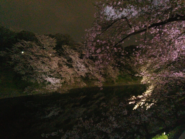 e0254682_11222157.jpg