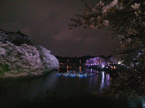 e0254682_11224452.jpg