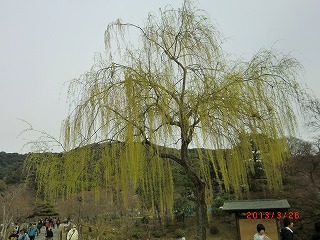 a0185783_10224121.jpg