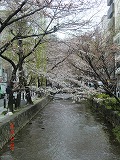 a0185783_11135629.jpg