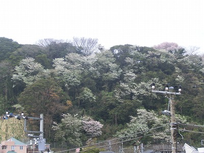 e0222588_17115897.jpg
