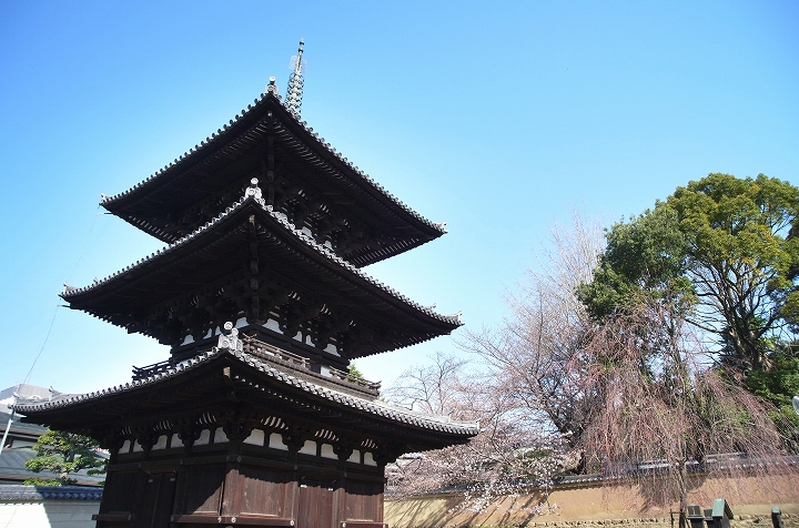 奈良・興福寺_f0012488_1329222.jpg