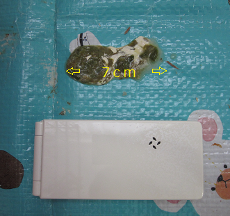 f0234590_101390.png