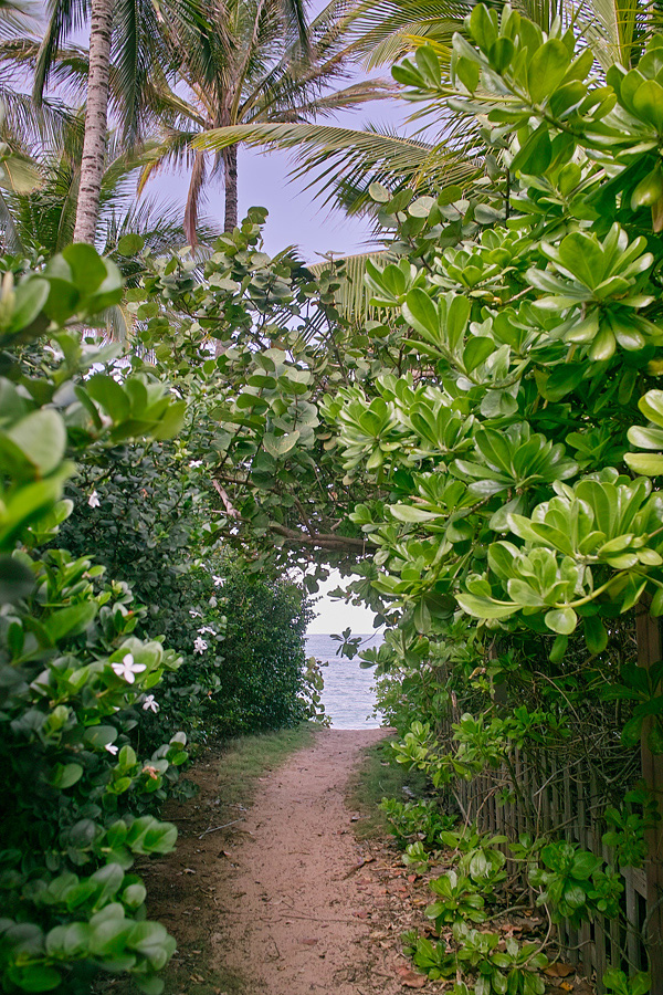 Hawaii旅行記(0)〜まずは写真から〜_e0058094_1643488.jpg