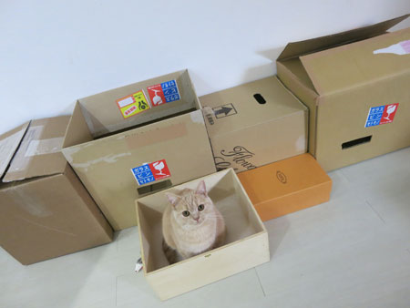 ようやく。。。_c0108595_8294177.jpg