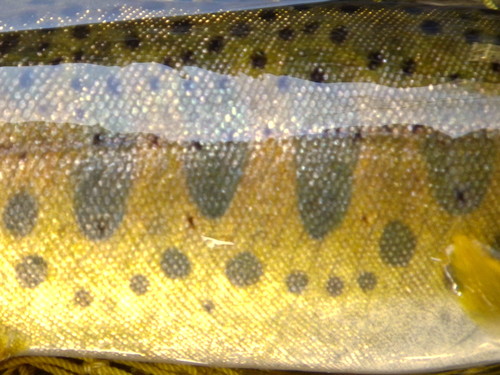 d0250395_2091210.jpg