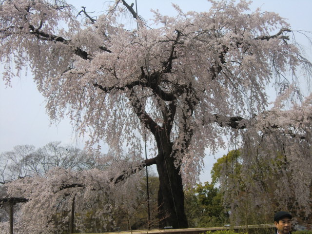 b0044296_20431.jpg