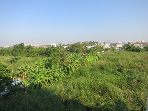 c0145897_16215719.jpg