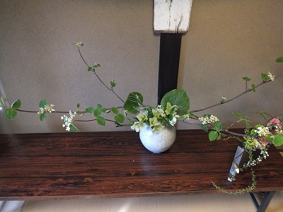 4月「春の日展」 Green thumb入荷です_e0187897_15211071.jpg