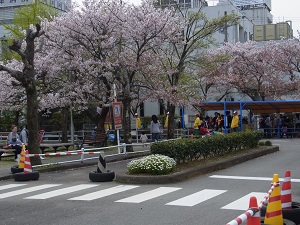 b0067598_21521962.jpg