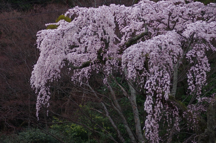 東京特許許可局_b0162798_893330.jpg