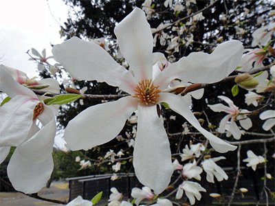 b0108100_22114166.gif