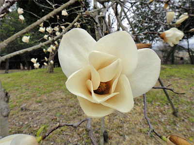 b0108100_22115889.gif