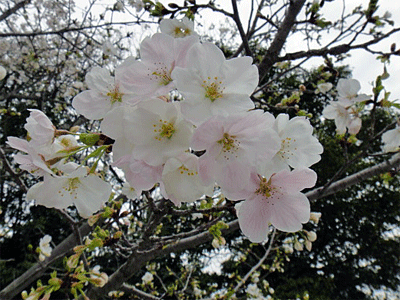 b0108100_22121324.gif