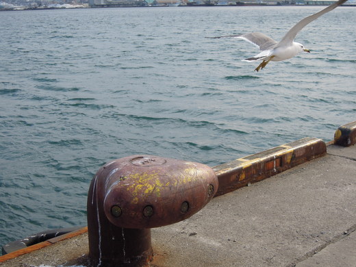 f0203400_2094936.jpg