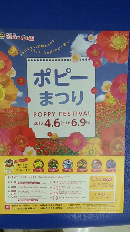 久里浜ポピーまつり　2013_d0092901_9142279.jpg