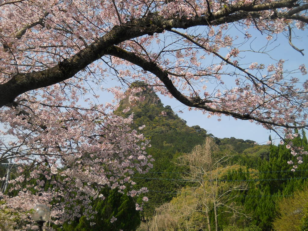 花の降る時まで_f0146802_0534266.jpg