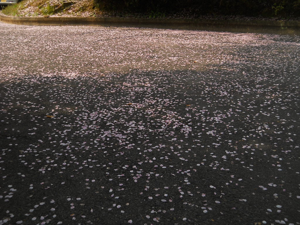 花の降る時まで_f0146802_0545553.jpg