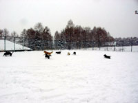d0023103_13264246.jpg