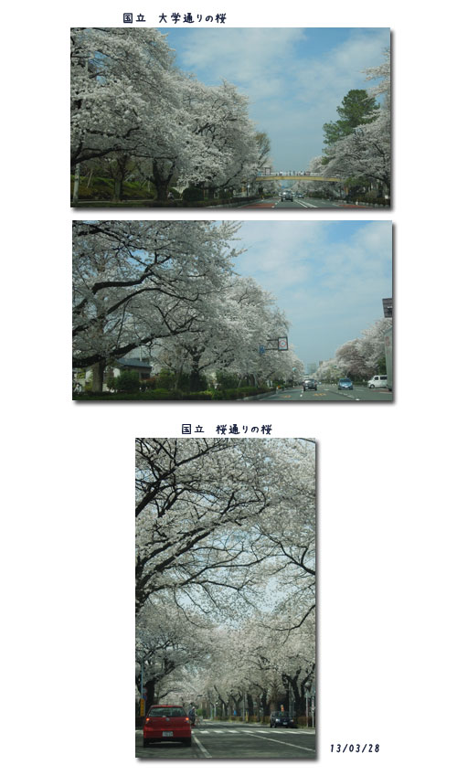 c0051105_22492290.jpg