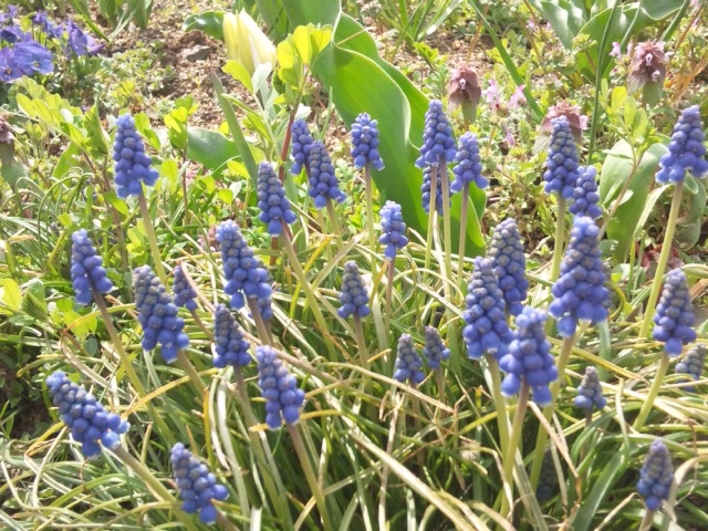 e0252905_15379.jpg