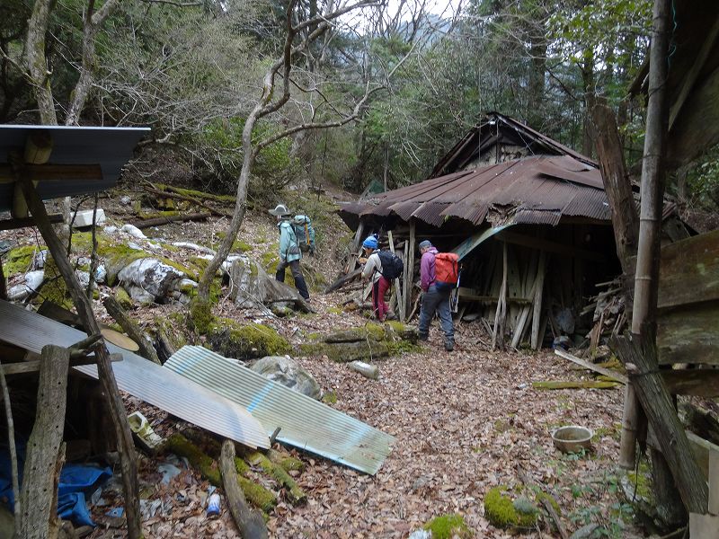 津志嶽　大屋内　鉄塔保線路　登山口から_b0124306_15355627.jpg